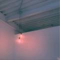 지니샵(JINI SHOP)