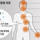 피지에이 - 수원시 권선구 삼천병마로1592번길 3-4 | 피지에이