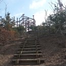 빛가람호수공원전망대 이미지