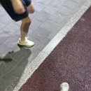 거 다 한 결혼식 리얼 솔직 후기[1] ( 메종디탈리, 더...꼼나나 영주 부원장, 에잇세븐 포토그라피 )