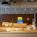 판교백현로 이미지