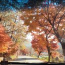 H하우스펜션 이미지