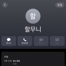 고양이나라 이미지