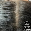 모리점빵 티스토리