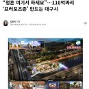 2030 청년들 유입될거라는 대구시 근황 이미지