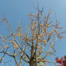 원주시노인종합복지관 이미지