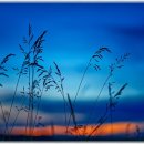 더봄개량한복 이미지