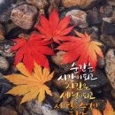 좋은날만 이미지