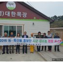대한목장 Daum카페