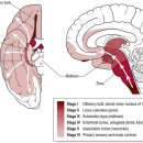화명튼튼정형외과의원 이미지