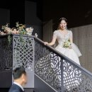 영희의 정원 이미지