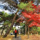 (주)풀향기 이미지