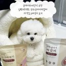 건강식 수제떡갈비 | 강아지수제간식 추천 집밥프로젝트 전주강아지떡갈비 자색고구마설기 후기