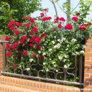 장원카센타 이미지