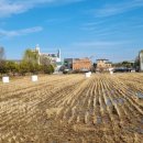 고촌농로 이미지