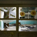 양남초 상계분교 이미지