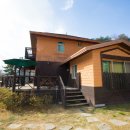 대관령로뎀나무 이미지