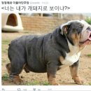 천선농장 네이버블로그