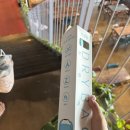 (주)포유레저 실외수영장 | 가평 시설좋고 깨끗한 빠지 추천 [캠프통포레스트] 8월 주말후기
