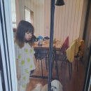 오늘하루 애견 동반 스파펜션 | 양평 애견동반숙소+수영장 오늘하루고마웠다 펜션후기🤩
