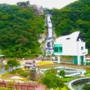 매그너스요양병원 이미지