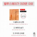 벨루스헤어 이미지
