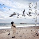 봉길대왕암(문무대왕릉) | 경주 문무대왕릉 봉길대왕암해변 갈매기 새우깡 먹이주기