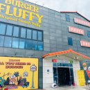 플러피 FLUPPY 이미지