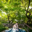 금룡관광호텔 | 명월관 돌스냅 별채 돌잔치 준비 꿀팁 _ 글리밍스냅