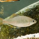 고기이야기 이미지