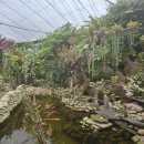 장수닭갈비 이미지