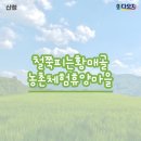 철쭉피는황매골마을 이미지
