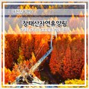 궁내로22번길 일부구간 | 대전단풍명소 끝판왕 장태산자연휴양림 포토존 주차 동선 꿀팁