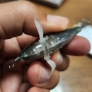 후크산장 | 잘 알려지지 않은 가성비 좋은 주꾸미 갑오징어 후크에기 리뷰