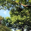 지영국궁장 이미지