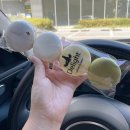 뭉쓰살롱 이미지