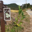 금천리마을회관 이미지