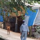 도희네 농장 이미지