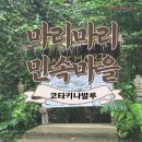 다오실 | [코타키나발루여행]마리마리민속마을 놀타코타예약 솔직후기(내돈내산)