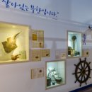 제주해양동물박물관 이미지