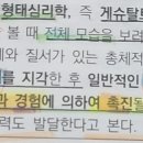 각론2 p 129. 미술교육이론 이미지