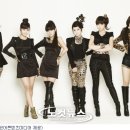 티아라 노컷뉴스