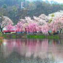 연지못 이미지