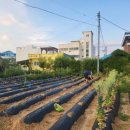 소소한 하루 민박 이미지