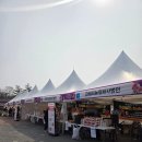 2026 | 논산 딸기축제 2026 후기 (주차 꿀팁 포함)