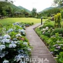 고흥-10호 이미지