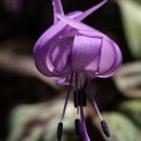 화암사 가는길 이미지