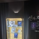 센과 치히로의 행방불명 오리지널 투어 후기