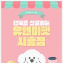 달미 | 🐾 달미 고양이분양 후기｜귀여운 먼치킨과 시작한 행복한 집사 생활