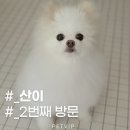 브이아이피서비스 이미지